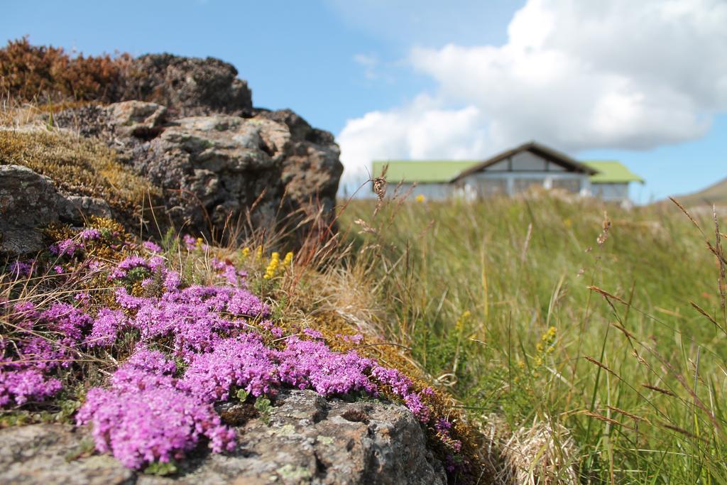 Hoemluholt Holiday Homes Exterior photo